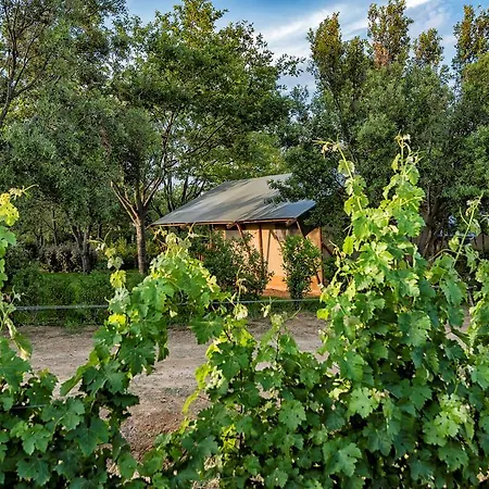 Glamping Tenuta Poggio Rosso Luxury tent 3*