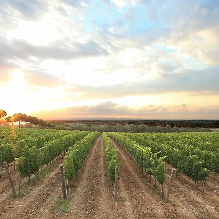 Glamping Tenuta Poggio Rosso