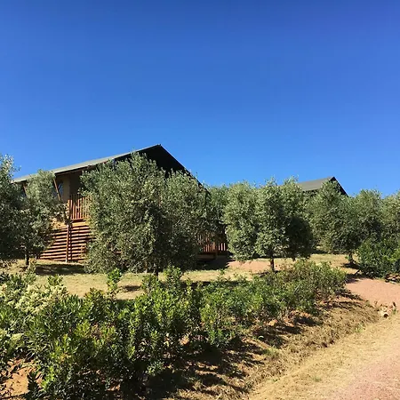 Luxuszelt Glamping Tenuta Poggio Rosso